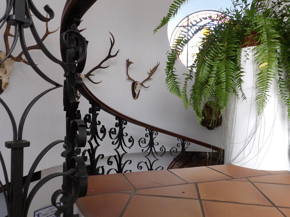 Palacio Donana , Rural & Luxury El Rocio Luaran gambar